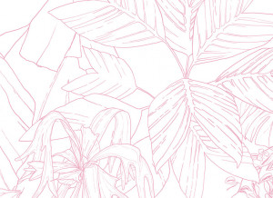 Papier peint Jungle Tropical Rose Medium